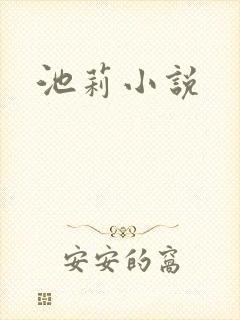 池莉小说封面