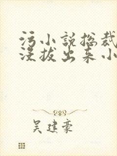 污小说总裁整夜没拔出来小说在线阅读