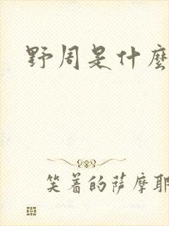 野周是什么意思