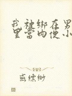 我被绑在男公厕里当肉便小说封面