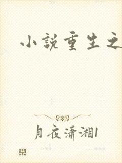 小说重生之官道