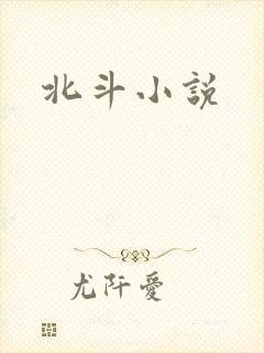 北斗小说
