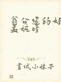 翁公您的好长呀孟婉晴封面