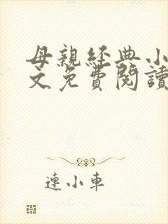 母亲经典小说全文免费阅读