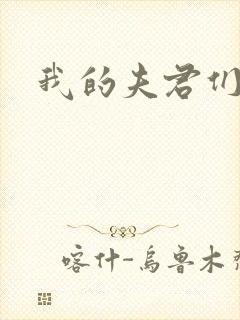 我的夫君们