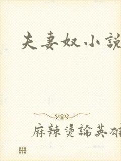 夫妻奴小说