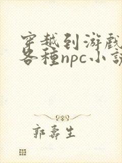 穿越到游戏里和各种npc小说