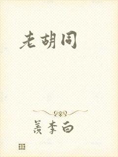 老胡同