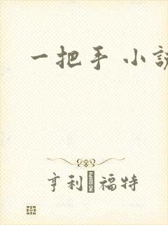 一把手 小说