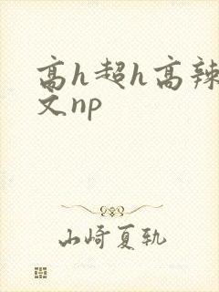 高h超h高辣h文np