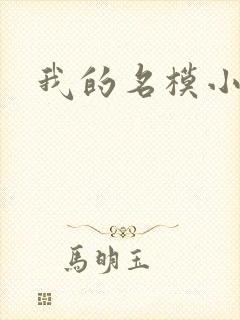 我的名模小娇妻