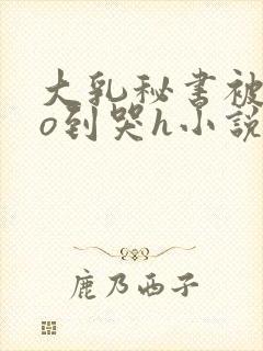 大乳秘书被cao到哭h小说