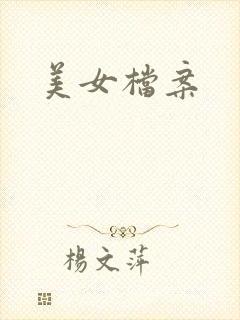 美女档案封面