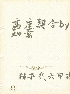 高度契合by洛知意