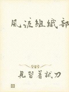 风流组织部长