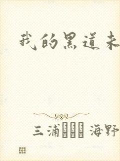 我的黑道未婚夫