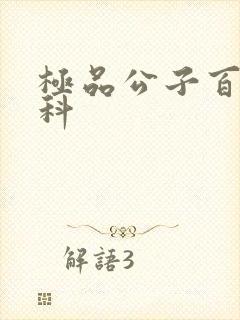 极品公子百度百科