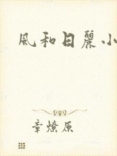 风和日丽小说