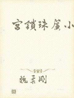宫锁珠帘小说