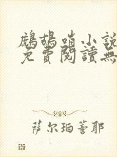 鹧鸪哨小说网站免费阅读无弹窗