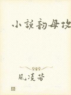 小说韵母攻略