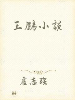 王鹏小说