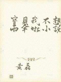 宝贝我不想带小雨伞啦小说封面