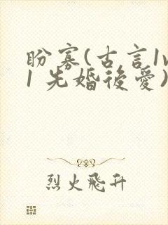 盼寡(古言1v1 先婚后爱)封面