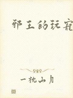 邪王的玩宠