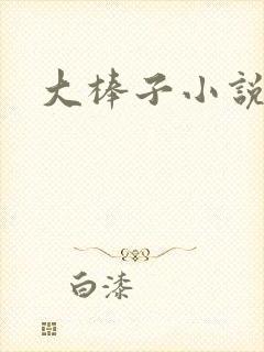 大棒子小说