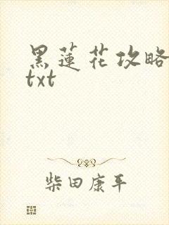 黑莲花攻略手册txt封面