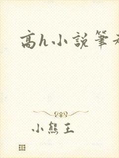 高h小说笔趣阁
