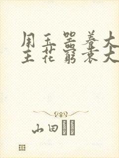 用玉器养大的公主花穷袁大夫封面