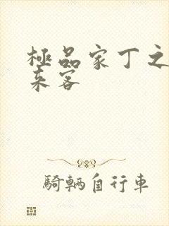 极品家丁之远方来客封面