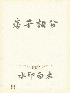 痞子相公