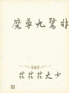 魔尊九鹭非香封面