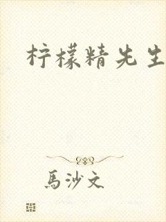 柠檬精先生