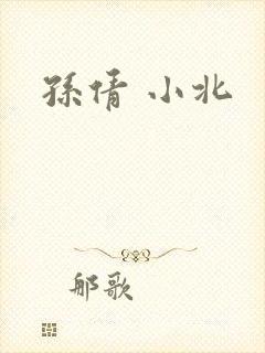 孙倩 小北封面