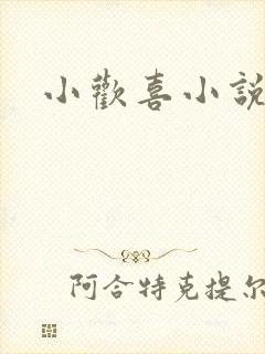 小欢喜小说