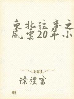 东北往事之黑道风云20年小说