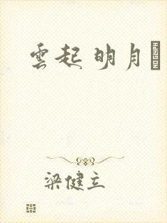 云起 明月珰封面