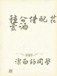 种公借配花间一壶酒封面