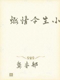 燃情今生小说封面