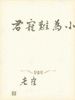 君宠难为小说封面