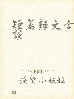 短篇辣文合集小说