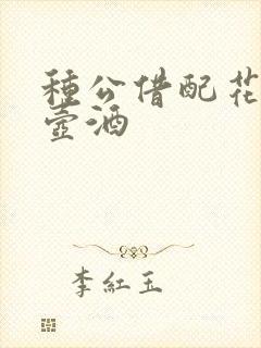 种公借配花间一壶酒