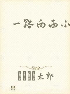 一路向西小说