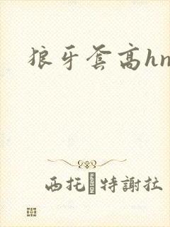 狼牙套高hnp