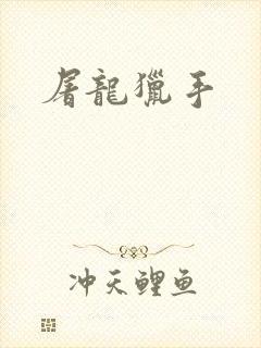屠龙猎手封面