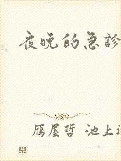 夜晚的急诊室2